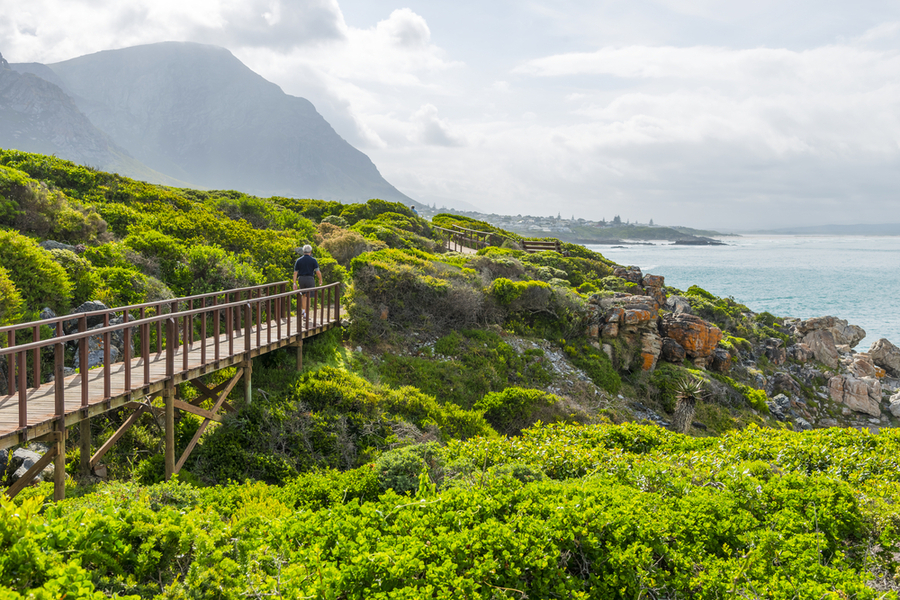 Hermanus
